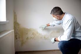 Best Post-Construction Mold Inspection  in Strongsville, OH